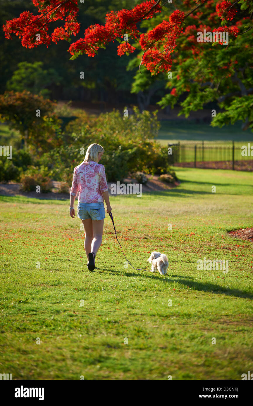 Giovane donna a piedi il suo cane nel parco Foto Stock
