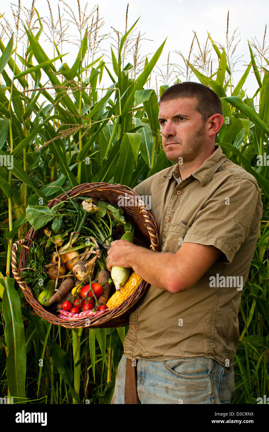 L'agricoltore maschio la raccolta di una coltura mista di fresche verdure di stagione Foto Stock