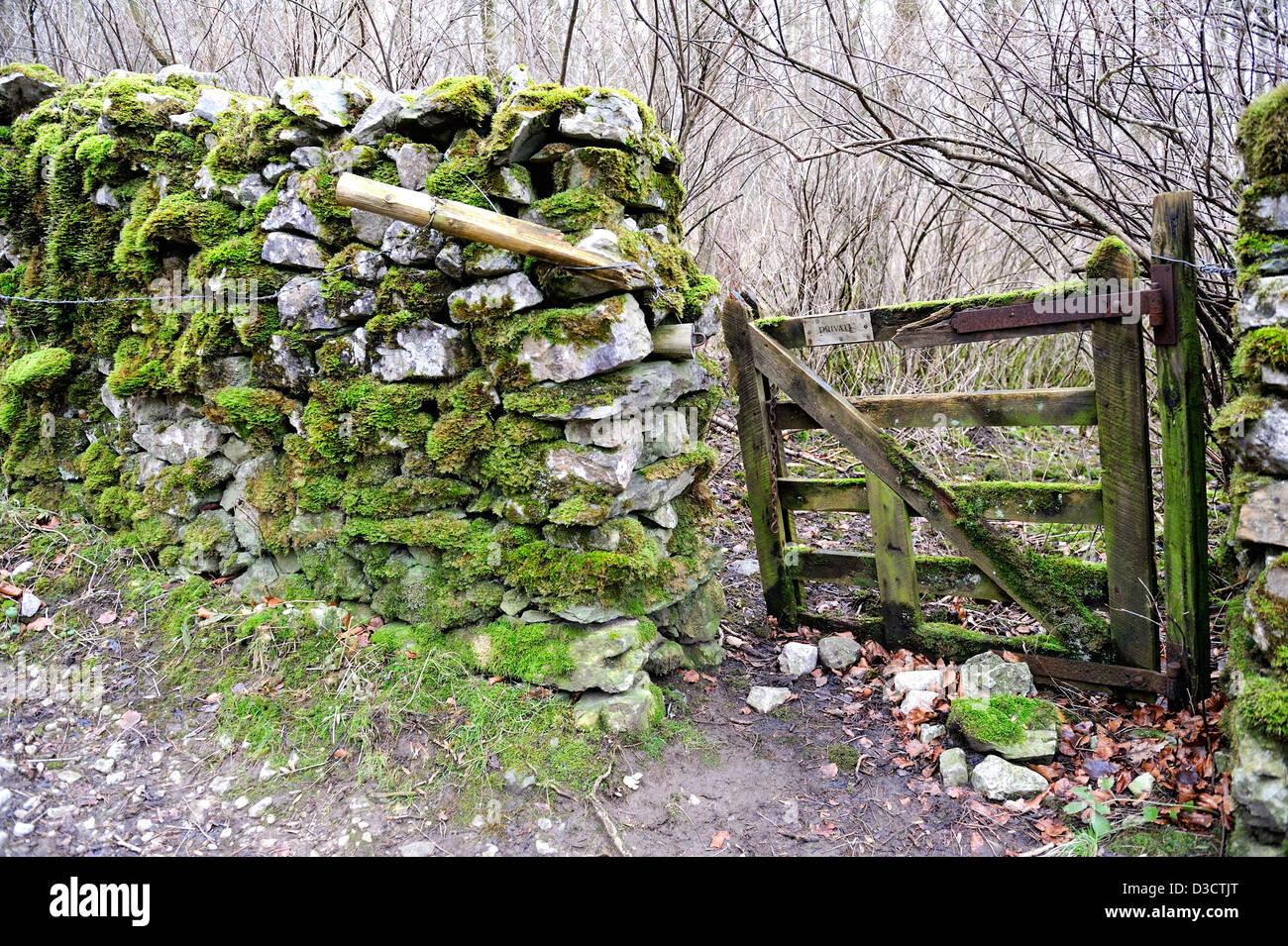 Antico cancello di legno fissata ad un montante contro un muschio secco coperta parete di pietra Foto Stock