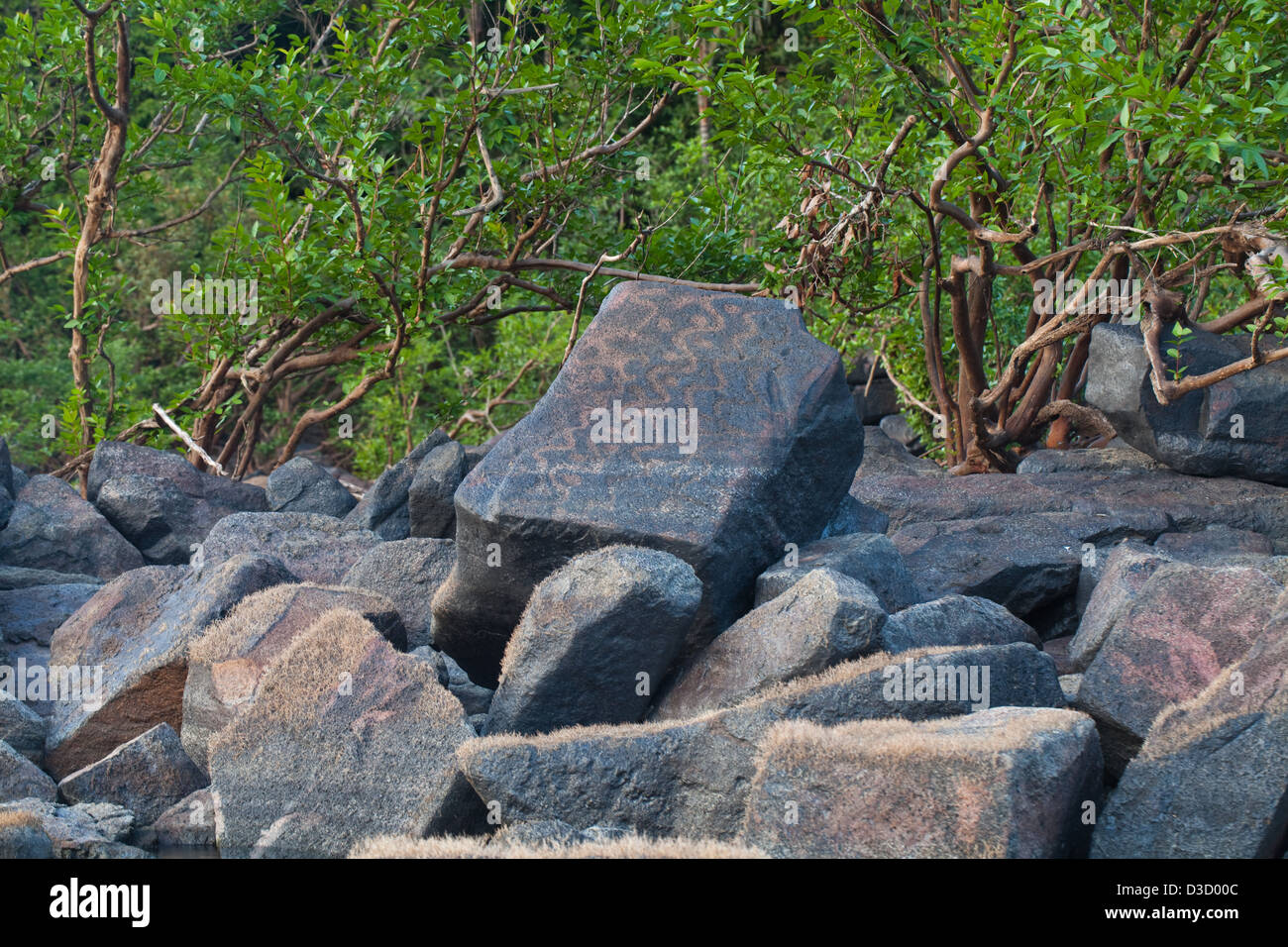 Incisioni rupestri. Amerindian enscribed iscrizioni in roccia di granito oltre 5 mila anni fa. Qui sulla linea di riva del fiume Essequibo, Foto Stock