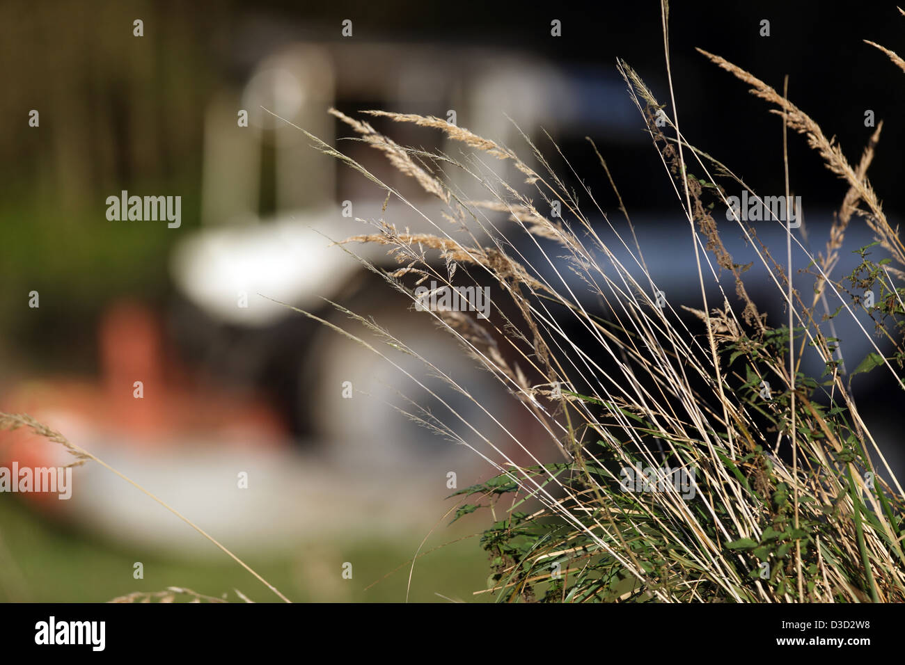 Villaggio splendente, Germania, simbolo dell'agricoltura foto Foto Stock