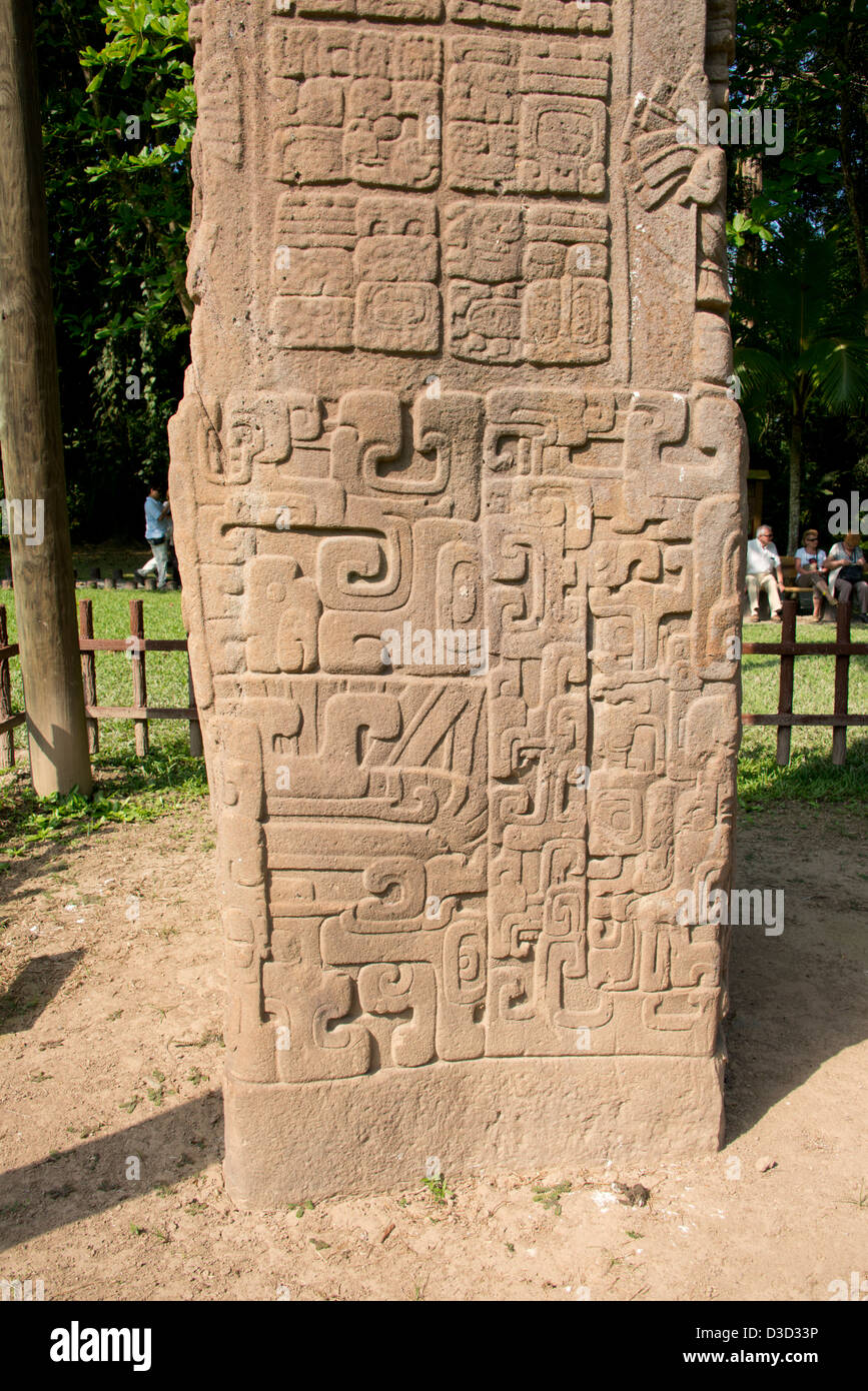 Guatemala, Quirigua rovine Maya parco archeologico (UNESCO). Dettaglio del riccamente intagliato stele di pietra. Foto Stock