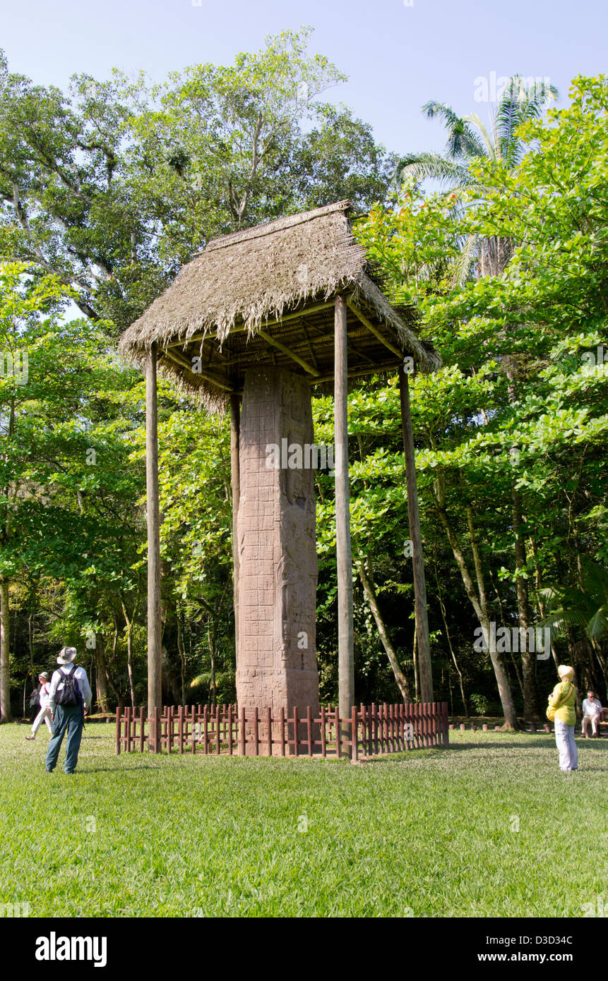 Guatemala, Quirigua rovine Maya parco archeologico (UNESCO). Dettaglio del riccamente intagliato stele di pietra. Foto Stock