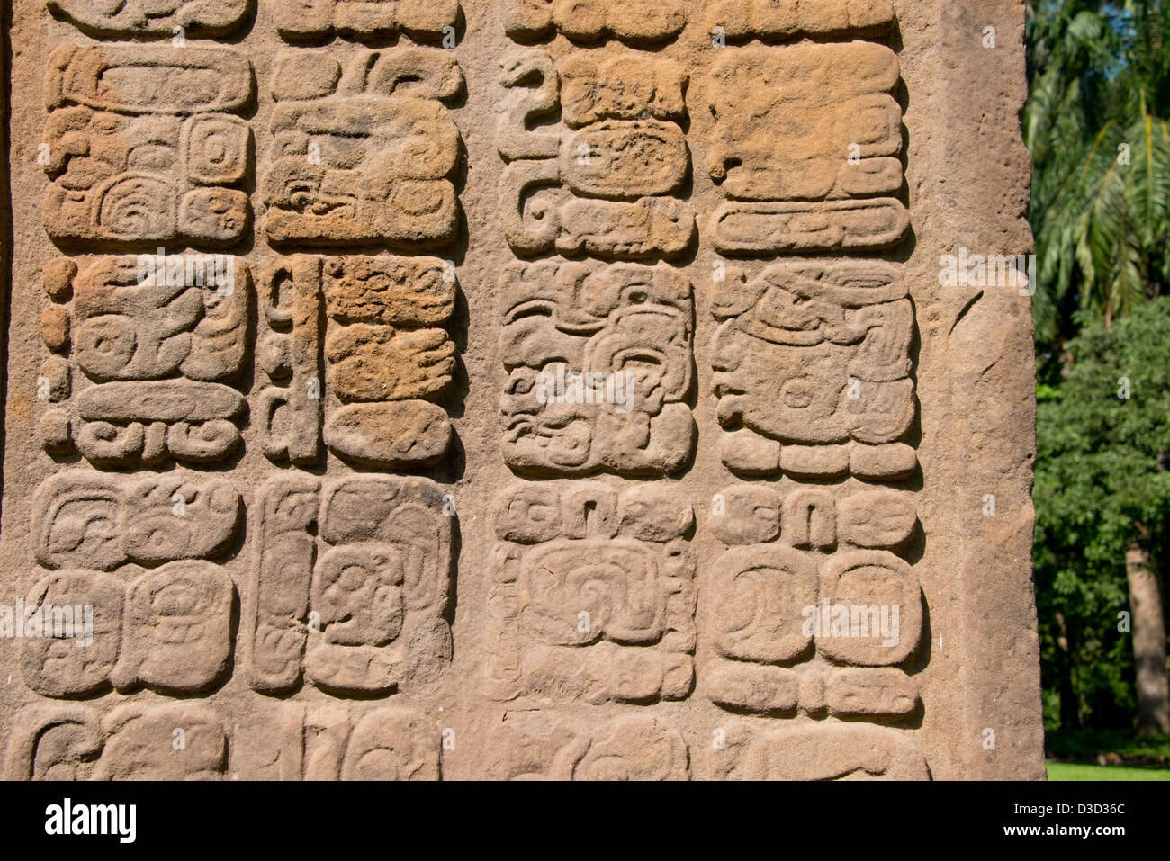 Guatemala, Quirigua rovine Maya parco archeologico (UNESCO). Dettaglio del riccamente intagliato stele di pietra. Foto Stock