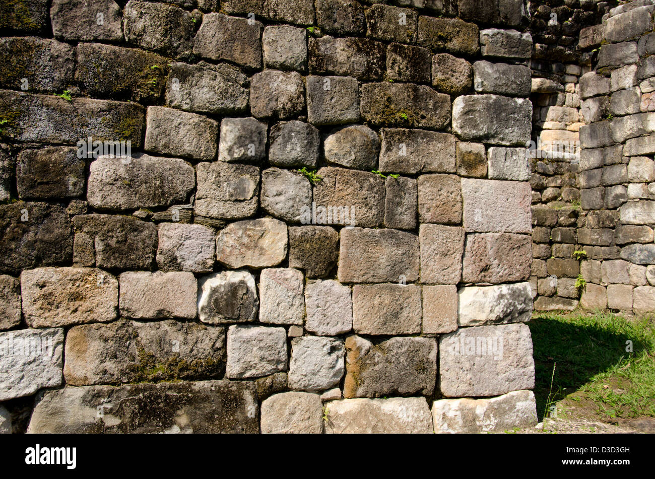 Guatemala, Quirigua rovine Maya parco archeologico (UNESCO). L'Acropoli, il muro di pietra dettaglio. Foto Stock