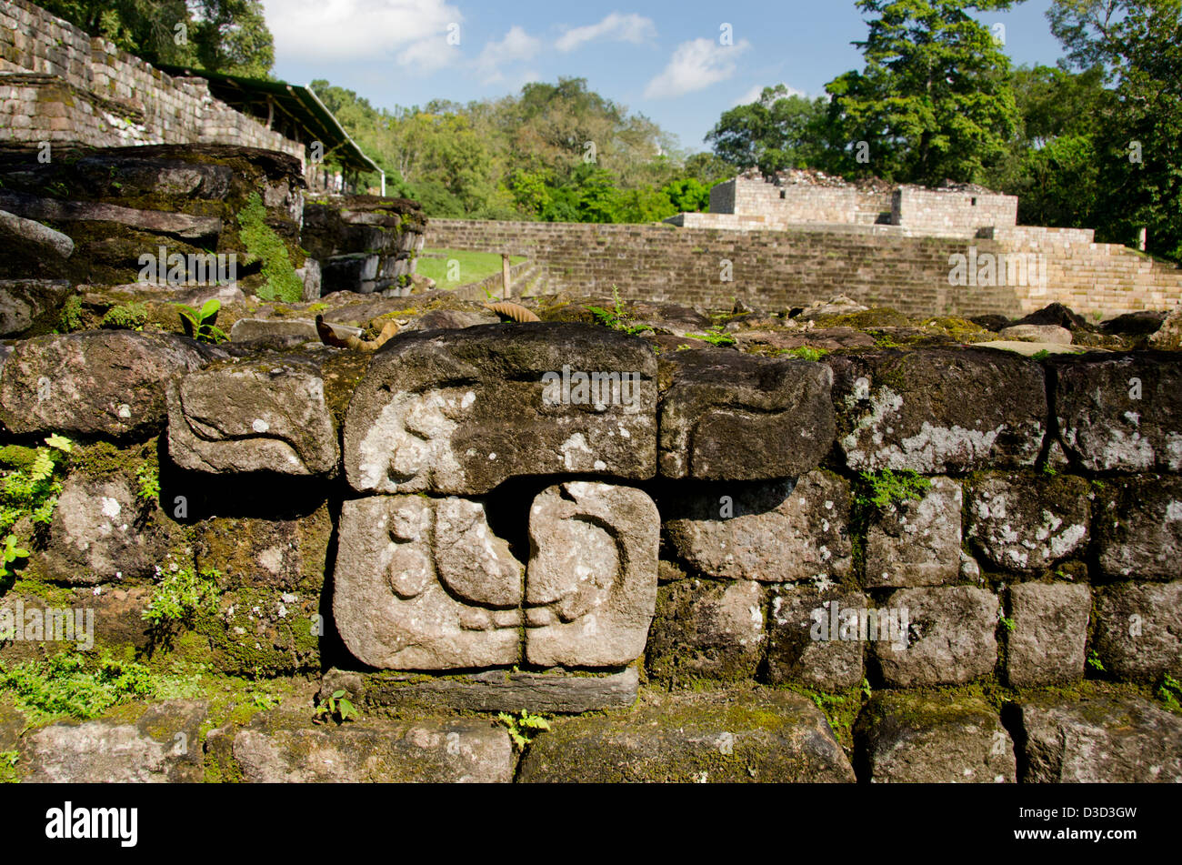 Guatemala, Quirigua rovine Maya parco archeologico (UNESCO). L'Acropoli. Foto Stock