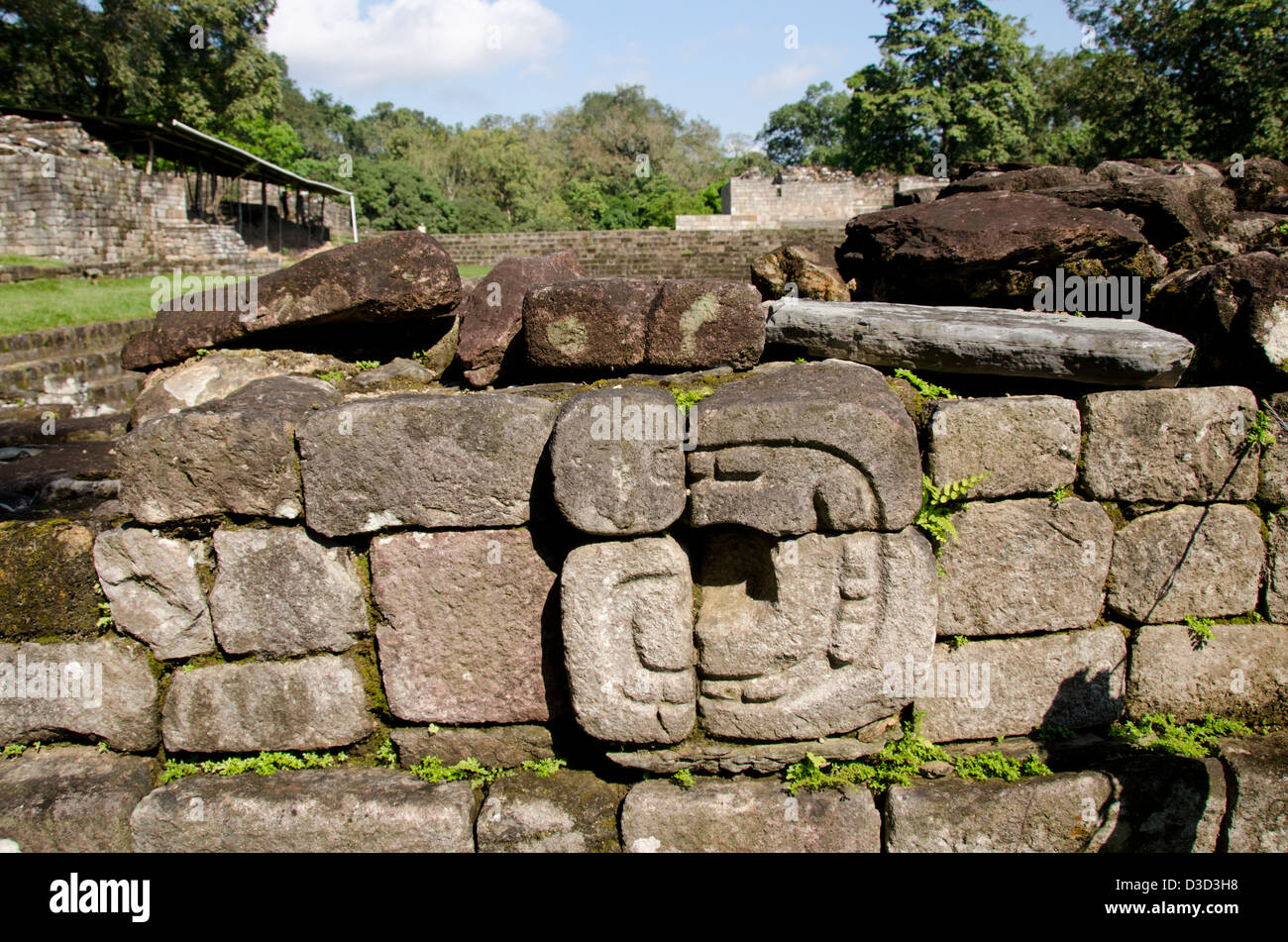 Guatemala, Quirigua rovine Maya parco archeologico (UNESCO). L'Acropoli. Foto Stock