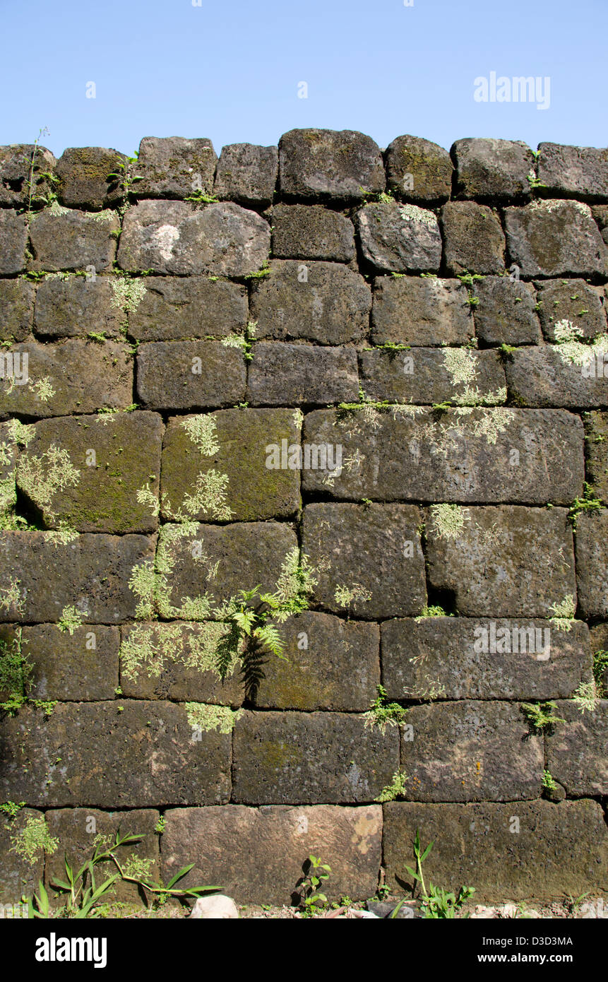 Guatemala, Quirigua rovine Maya parco archeologico (UNESCO). L'Acropoli, il muro di pietra dettaglio. Foto Stock
