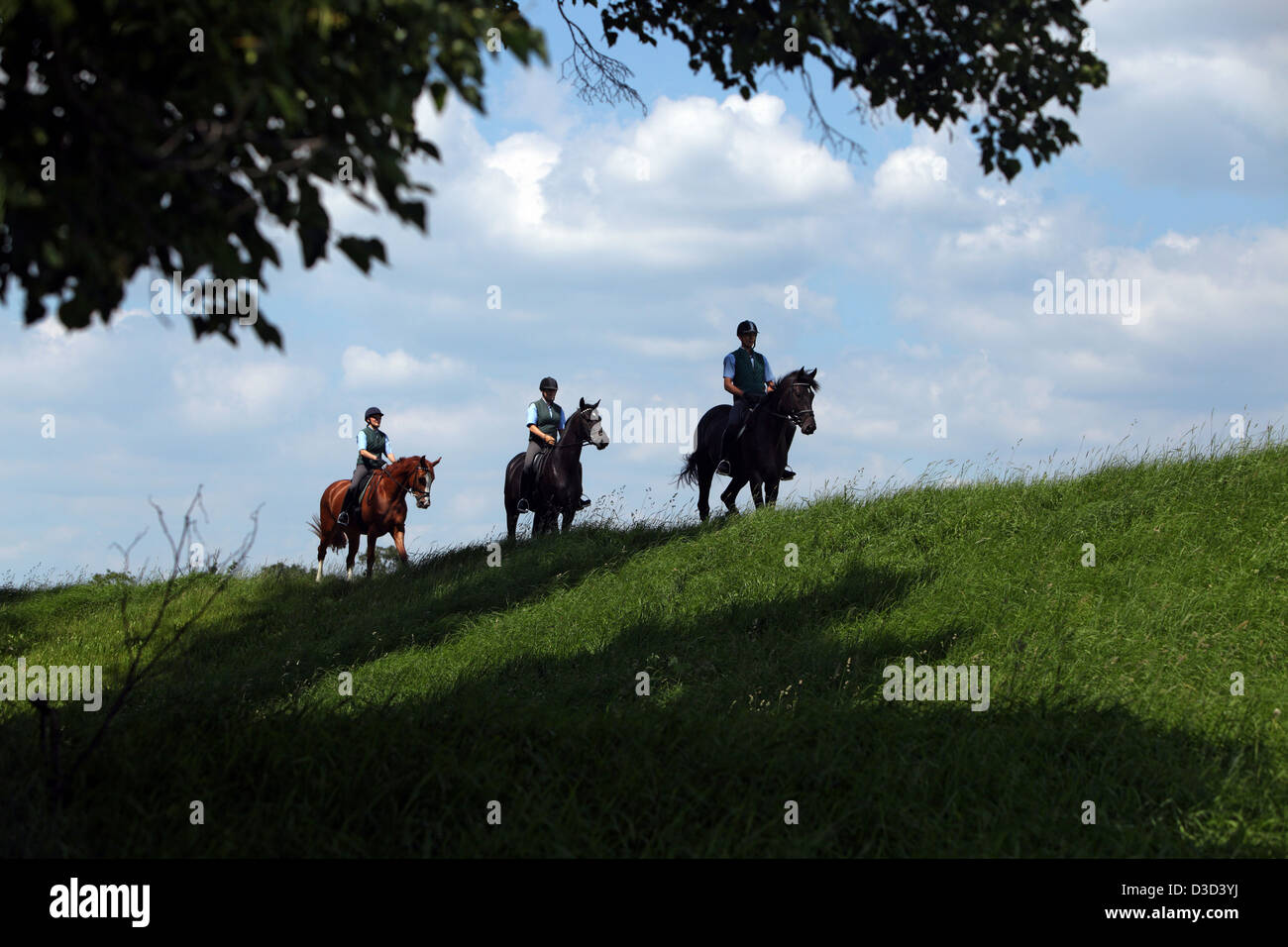 Graditz, Germania, cavalli e cavalieri a cavallo Foto Stock