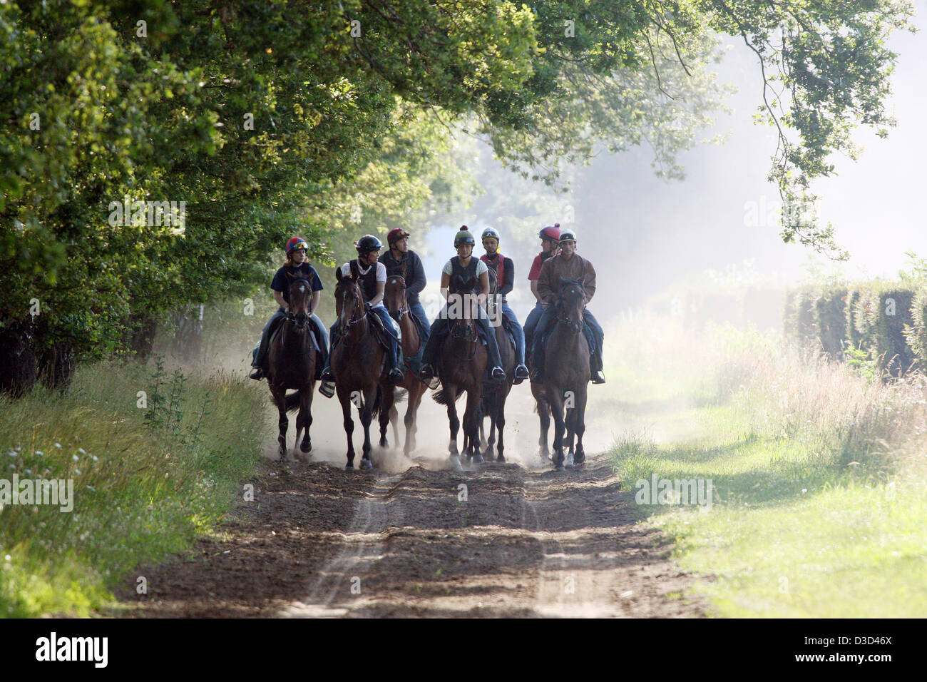 Gutersloh, Germania, cavalli e cavalieri a cavallo Foto Stock