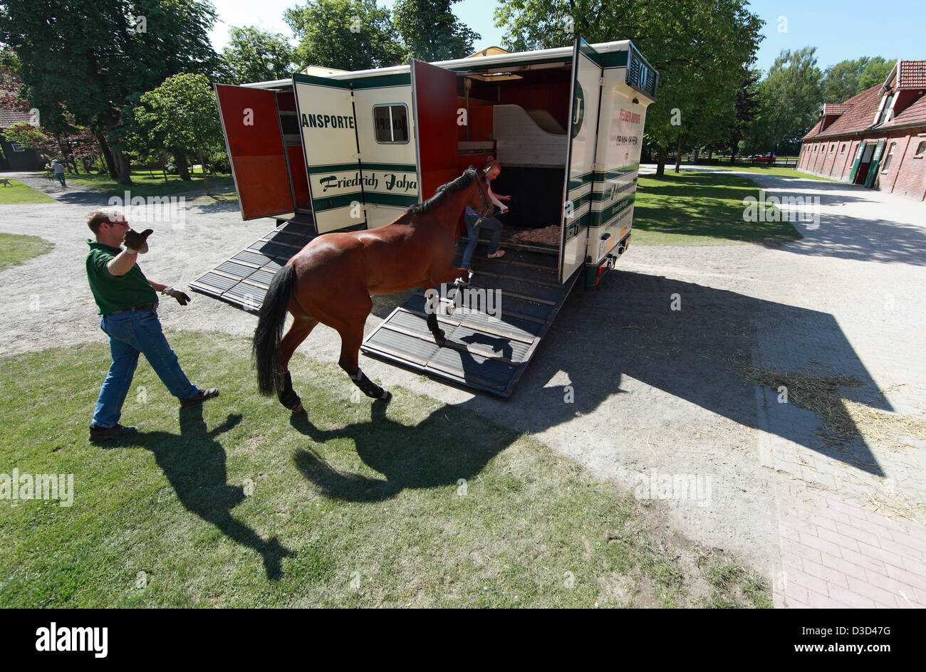 Gutersloh, Germania, cavallo essendo caricato in un furgone Foto Stock