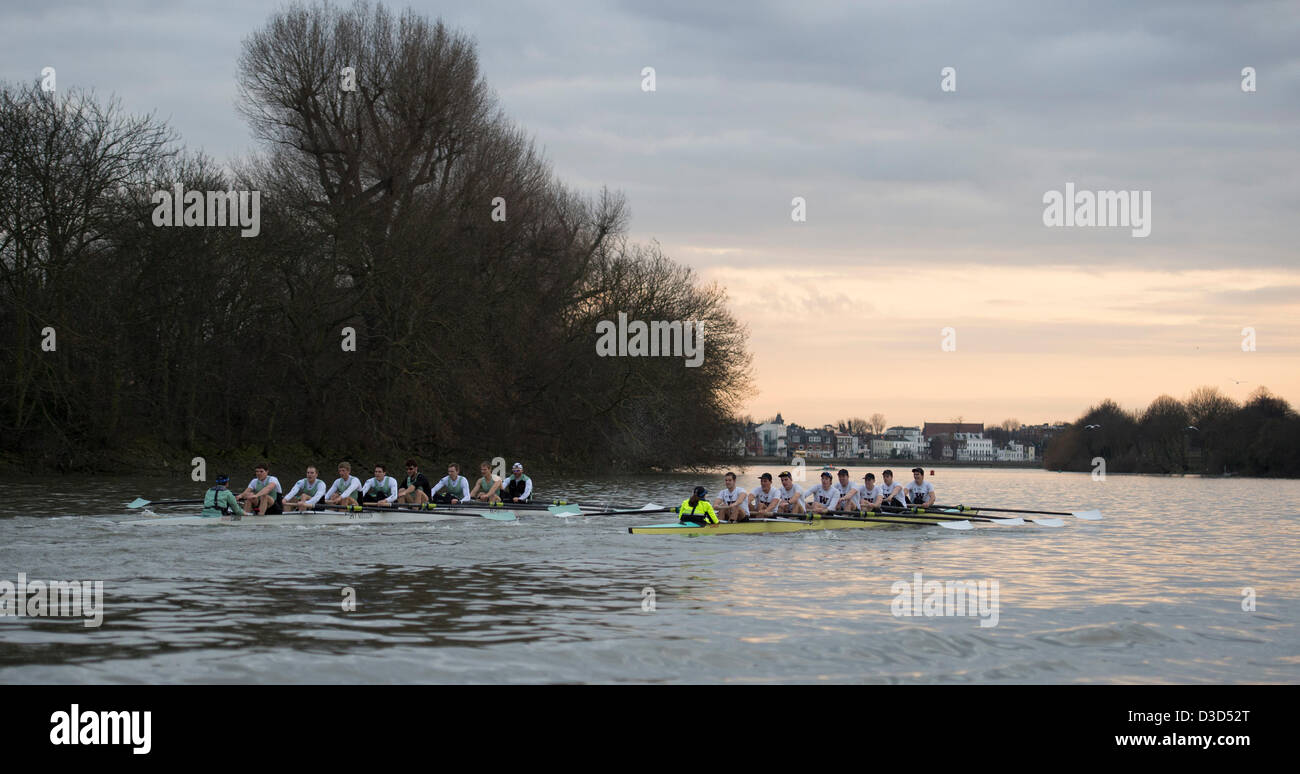 Putney a Mortlake Boat Race, il fiume Tamigi, Londra, Regno Unito. 16 feb 2013. Cambridge University Boat Club vs Washington University Boat Race. Cambridge Blue equipaggio:- B: Milano Bruncvik, 2: Concedere Wilson, 3: Ty Otto, 4: Steve Dudek, 5: Alexander Scharp, 6: Niles Garratt, 7: George Nash, S: Alexander Fleming, C: Henry Fieldman. Università di Washington equipaggio:- B: Julian Svoboda, 2: Alexander Perkins, 3: Sam Dommer, 4: Marcus Bowyer, 5: Alex bunker, 6: Colin McCabe, 7: Henry Meeke, S: Dusan Milovanovic, C: Lisa Caldwell. Foto Stock