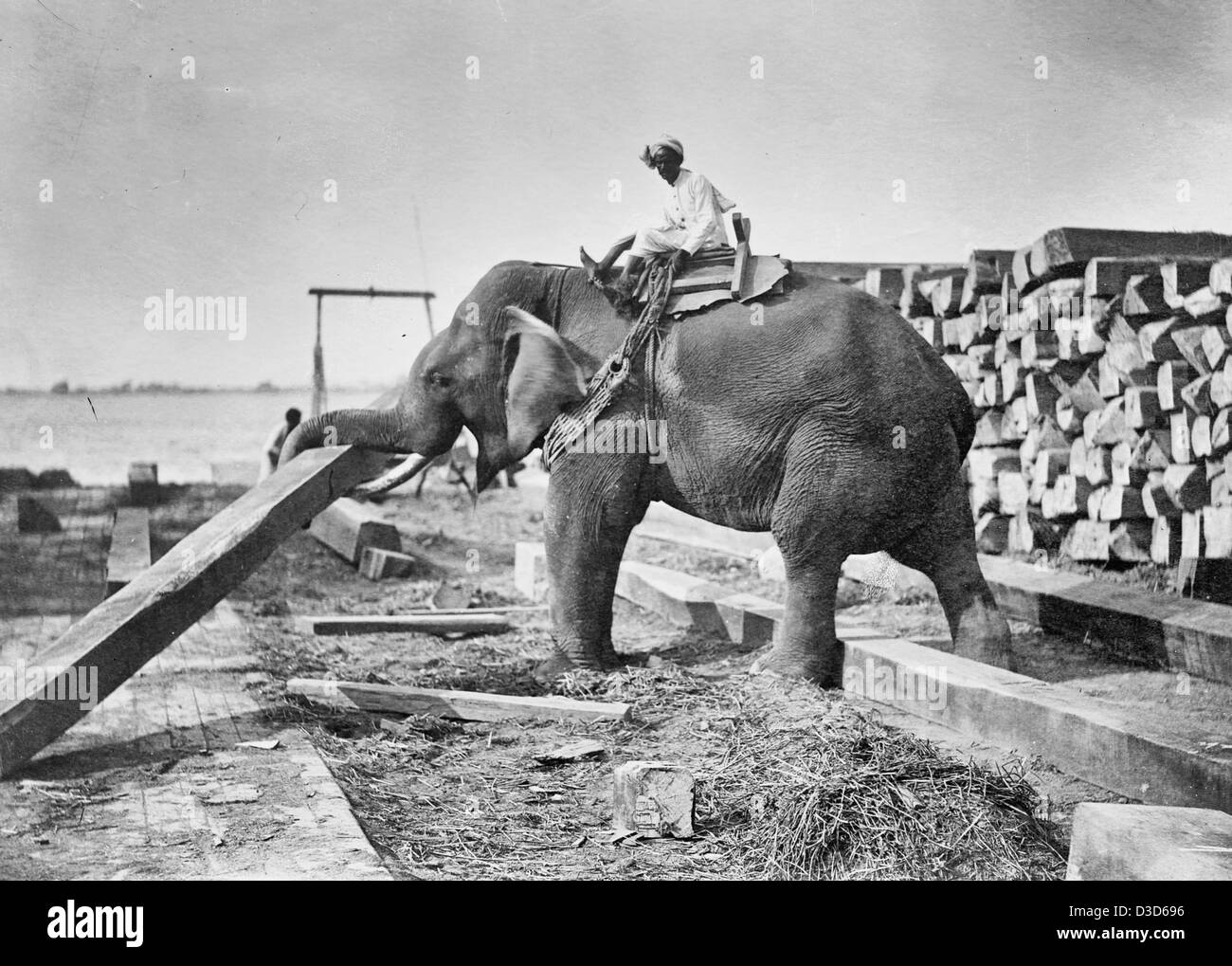 Lavoro di elefante in Birmania, circa 1920 Foto Stock