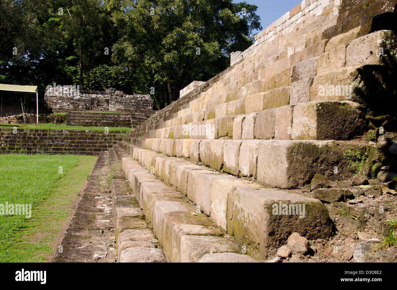 Guatemala, Quirigua rovine Maya parco archeologico (UNESCO). Foto Stock