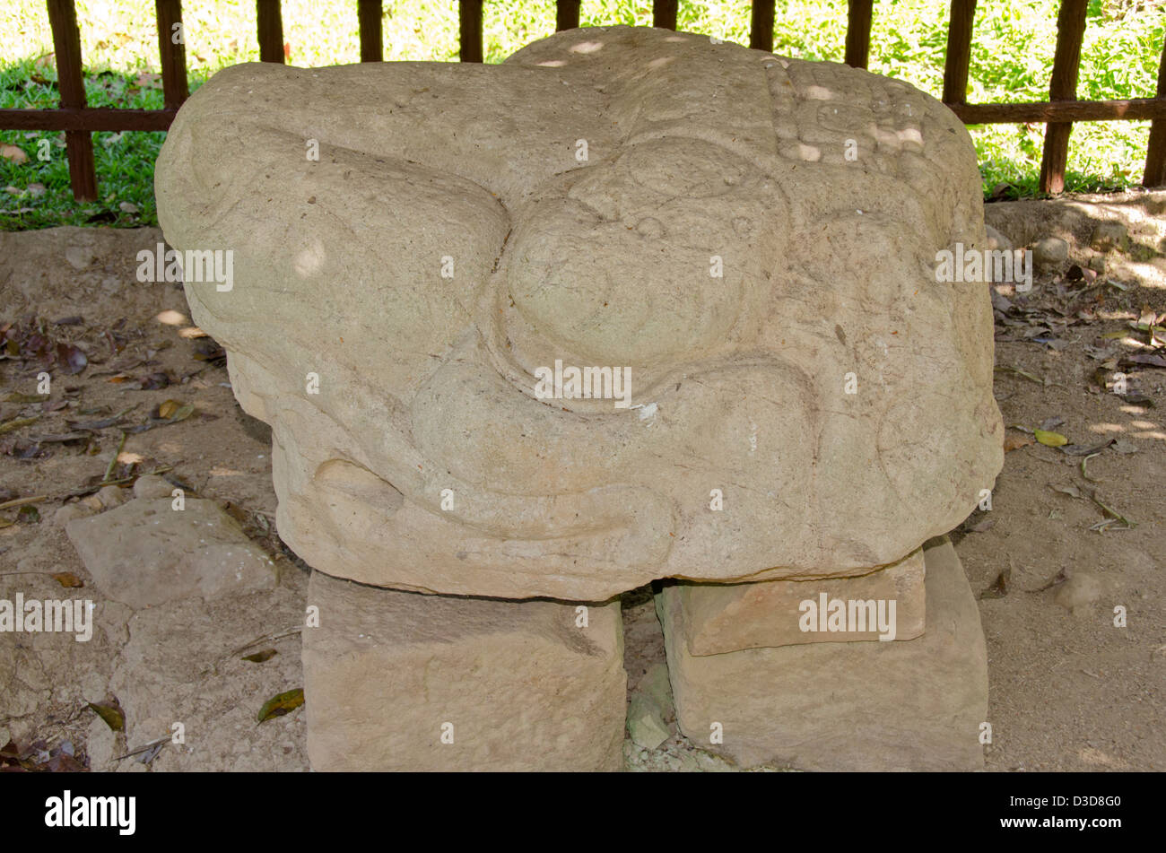 Guatemala, Quirigua rovine Maya parco archeologico (UNESCO). Foto Stock