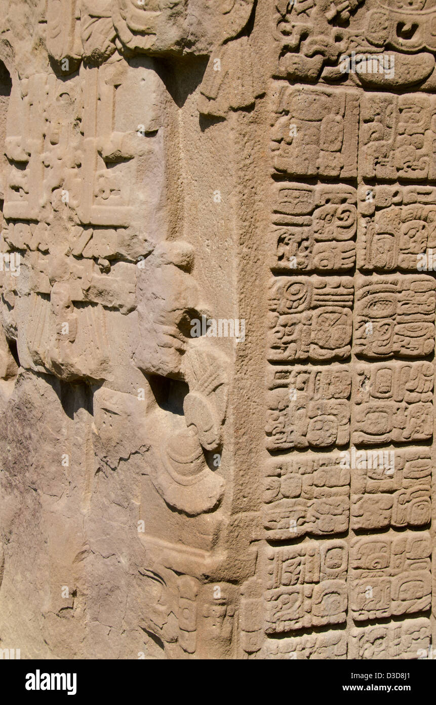 Guatemala, Quirigua rovine Maya parco archeologico (UNESCO). Foto Stock