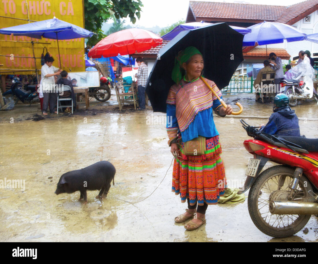 Bac Ha mercato domenicale il Vietnam, Lao Cai Provincia, fiore minoranza Hmong gruppo Foto Stock