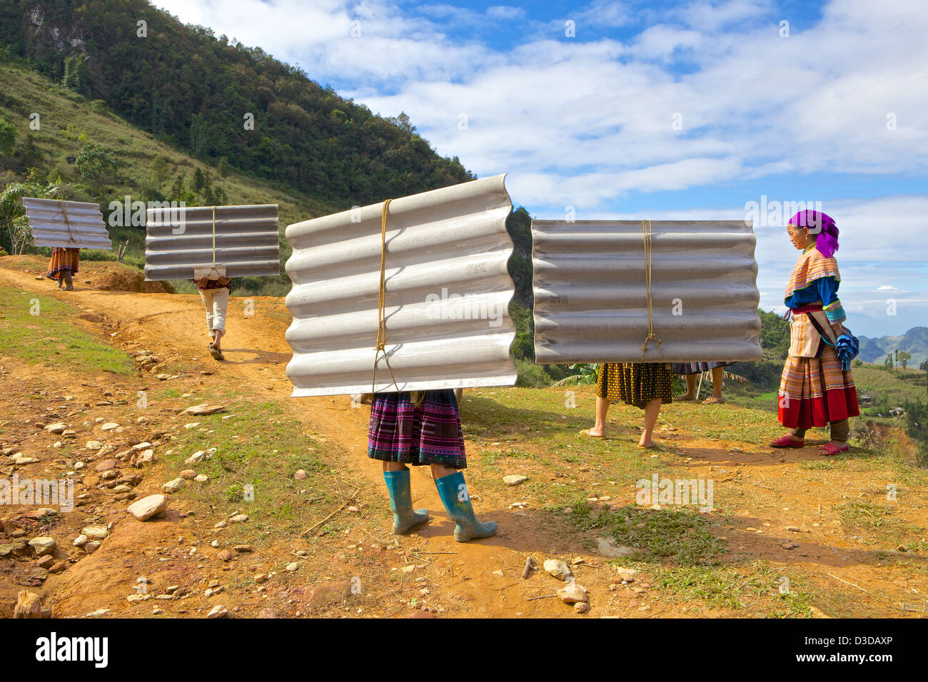 Il Vietnam, Lao Cai provincia. Flower minoranza Hmong, Foto Stock