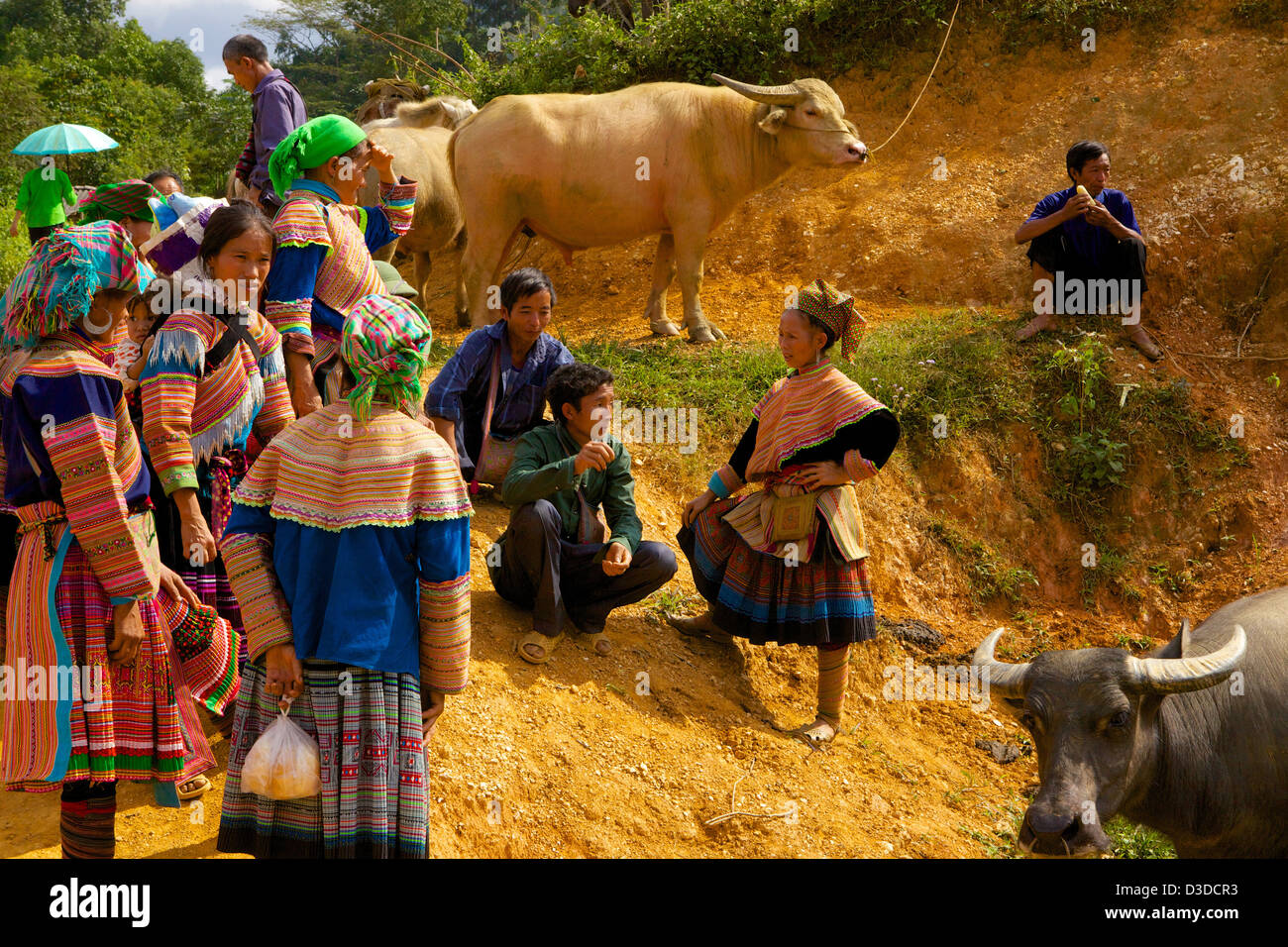 Il Vietnam, può cau mercato. Flower minoranza Hmong Foto Stock