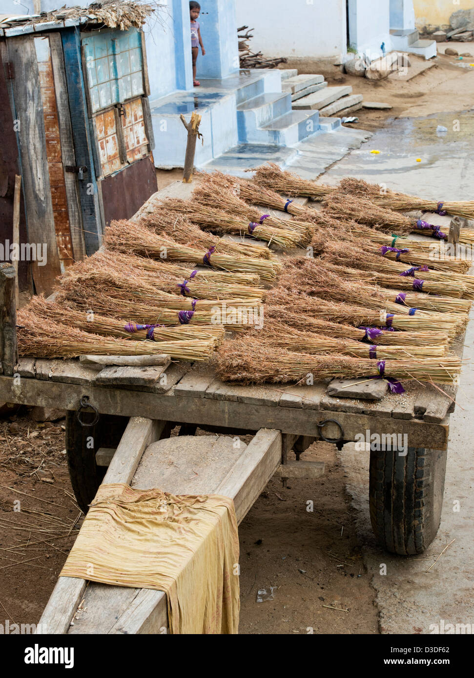 Indian erba spazzole reed sulla parte posteriore di un carrello di giovenco in un territorio rurale villaggio indiano. La tradizione indiana scopa. Andhra Pradesh, India Foto Stock