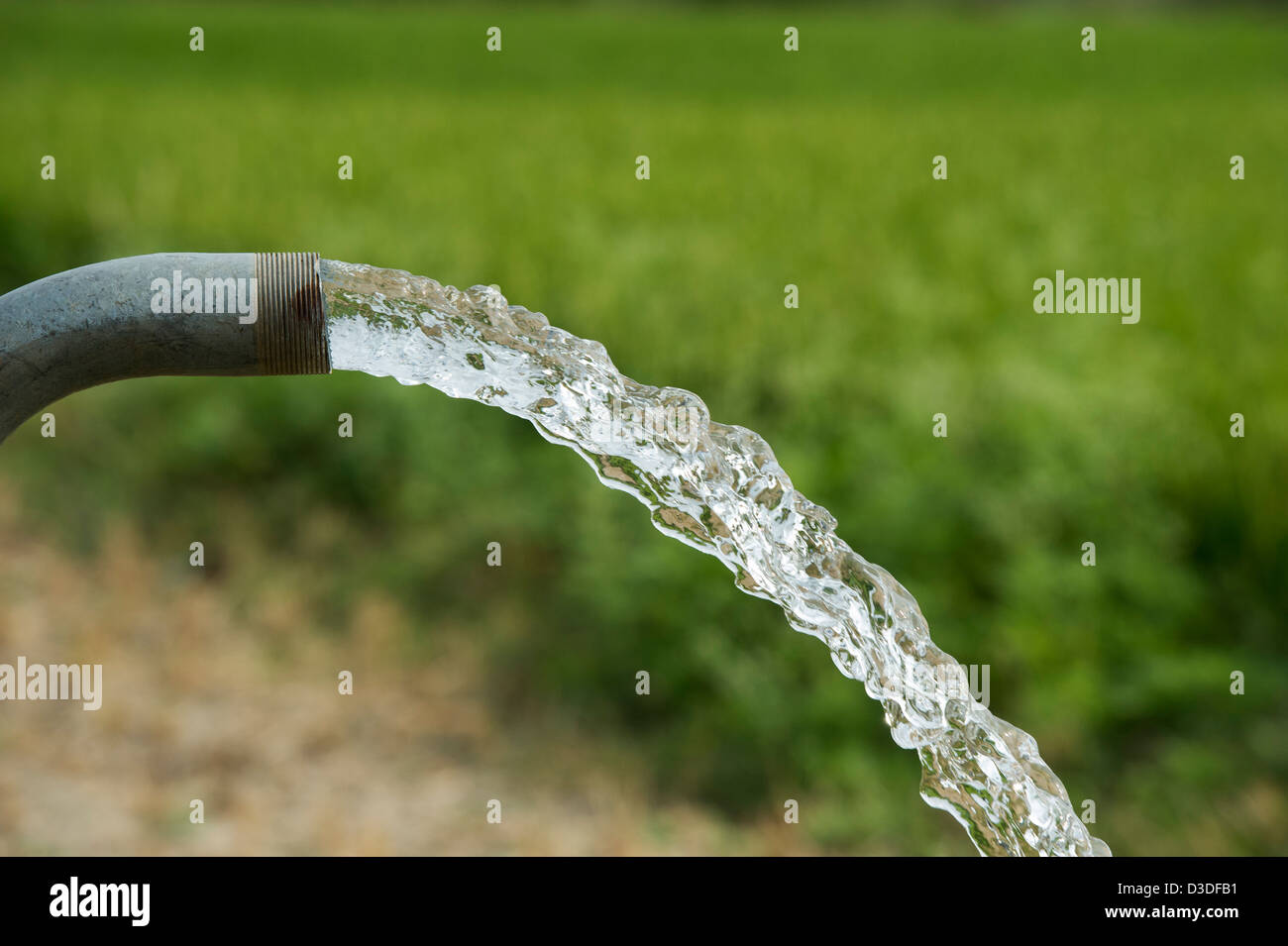 Pompaggio di acqua nella campagna indiana per impianto di irrigazione di raccolto. Andhra Pradesh, India Foto Stock
