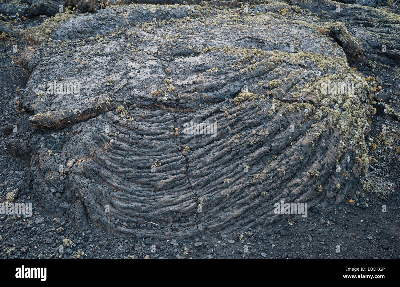 Dettaglio di pahoehoe vescicolare o lava basaltica a base di llichen, vicino a Masdache, Lanzarote, Isole Canarie, Spagna Foto Stock