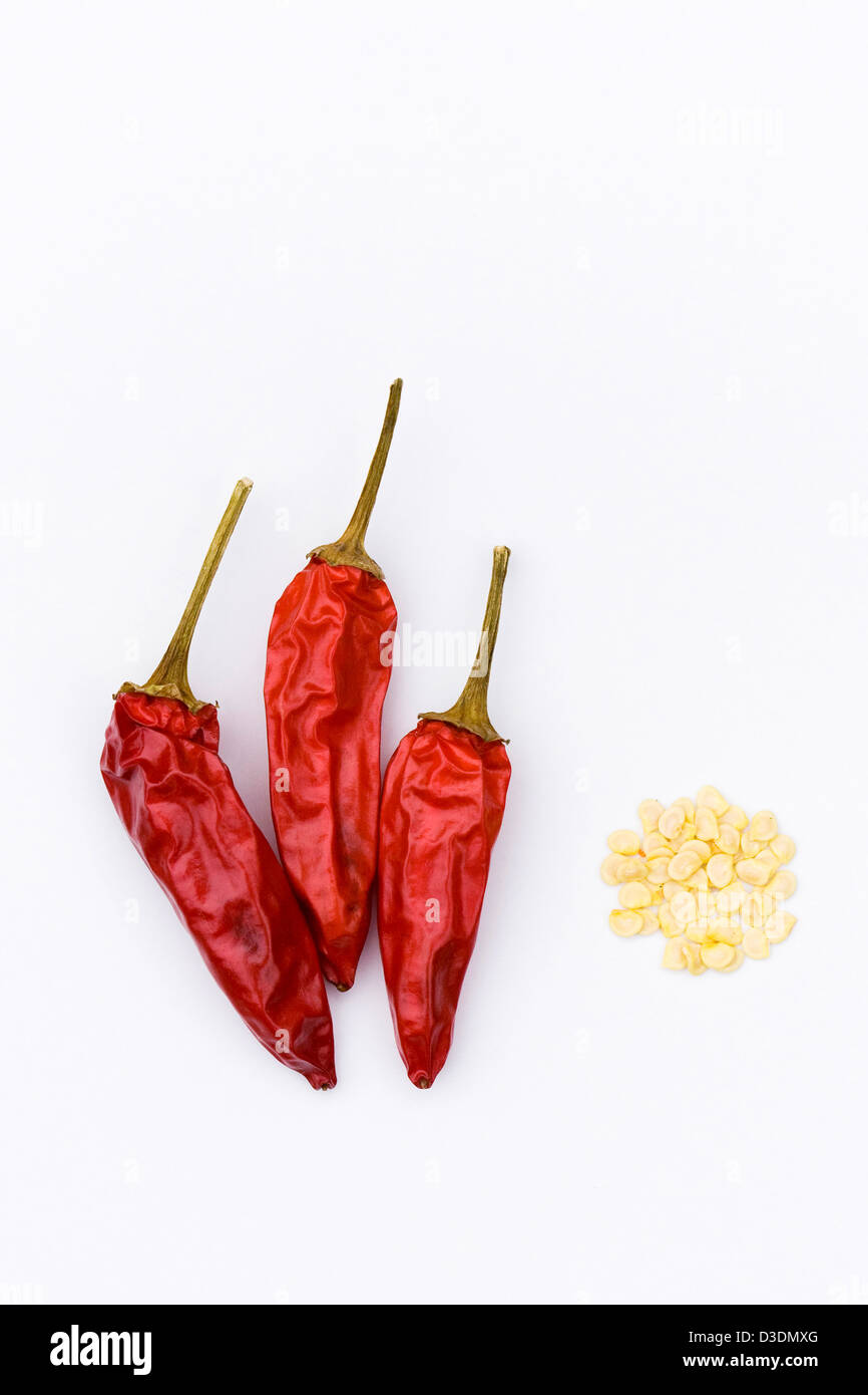Il capsicum annum 'Superchili'. Tre peperoncini essiccati e sementi su uno sfondo bianco. Foto Stock