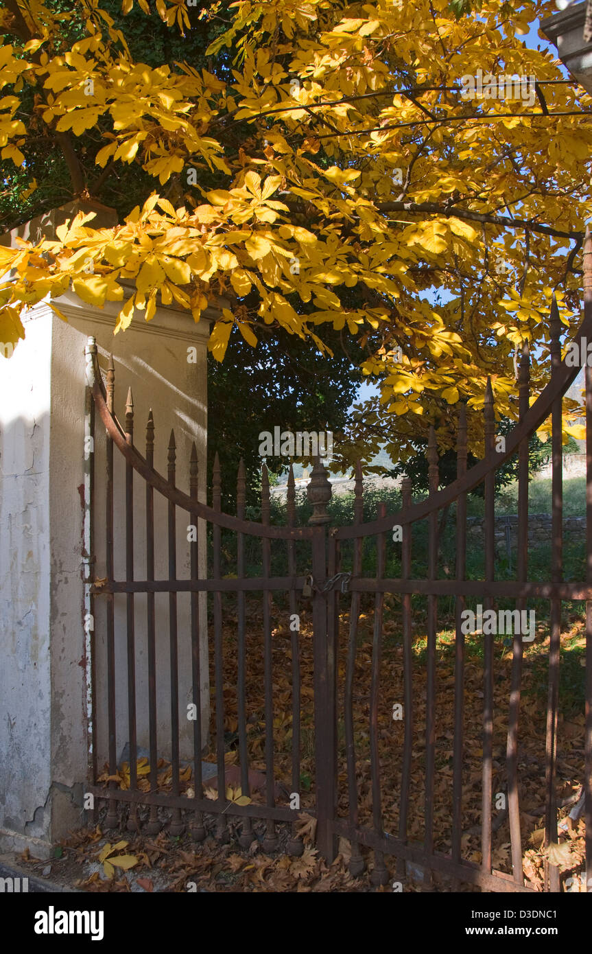Cast antico cancello di ferro sotto il castagno con fogliame di autunno Foto Stock