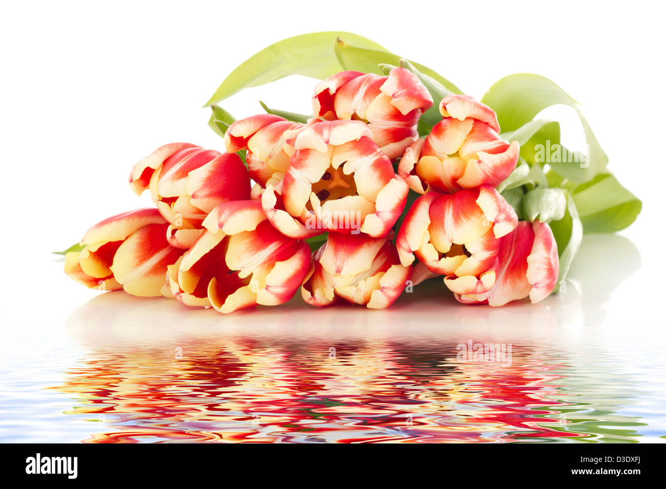 Bel mazzo di tulipani Foto Stock