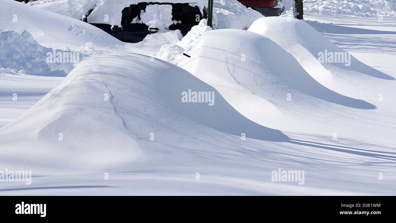 New Haven--vetture sotto cumuli di neve in Westville dopo Nemo la peggior tempesta di neve in CT storia Foto Stock