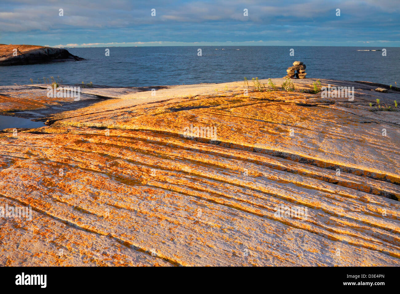 Brillante di colore arancione del lichen su rocce metamorfiche su un isola in Georgian Bay, Ontario Foto Stock