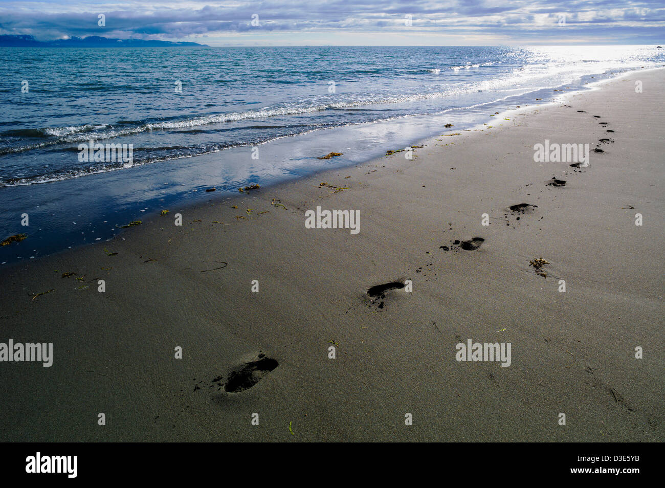 Impronte umane lungo il vescovo Beach, Omero, Alaska, STATI UNITI D'AMERICA Foto Stock