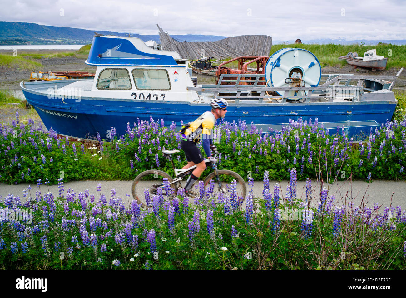 Un virtuale museo all'aperto di pesca e barca marcia adornano la proprietà di un valore su Homer Spit, Omero, Alaska, STATI UNITI D'AMERICA Foto Stock