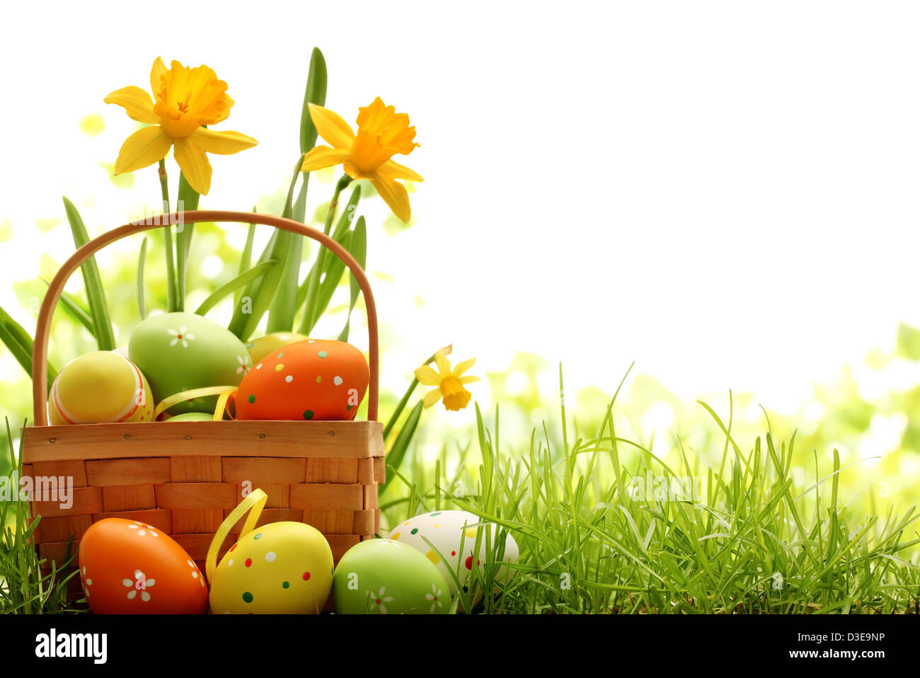 Cestello riempito con le uova di pasqua sul prato con daffodil Foto Stock