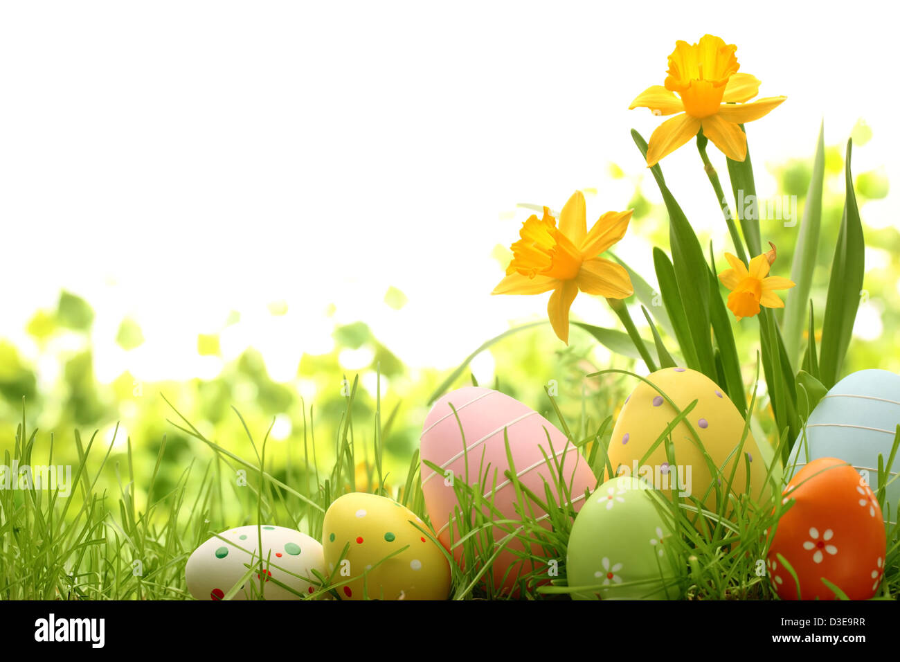 Le uova di pasqua di nascondere in erba con daffodil Foto Stock