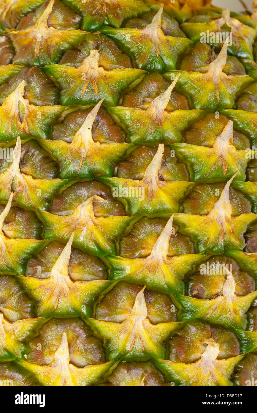 La texture di ananas maturo frutta, primo piano Foto Stock