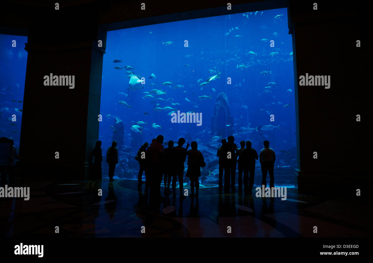 Le persone in piedi di fronte a una grande parete di vetro osservando la vita dei pesci in un enorme pesce serbatoio in Atlantis Palm Hotel Dubai Foto Stock