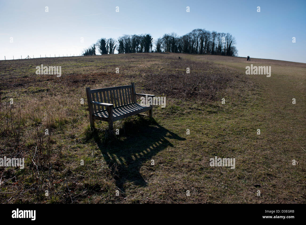 Gog Magog Hills Cambridge, Cambridgeshire, Inghilterra. 17-2-2013 Foto Stock