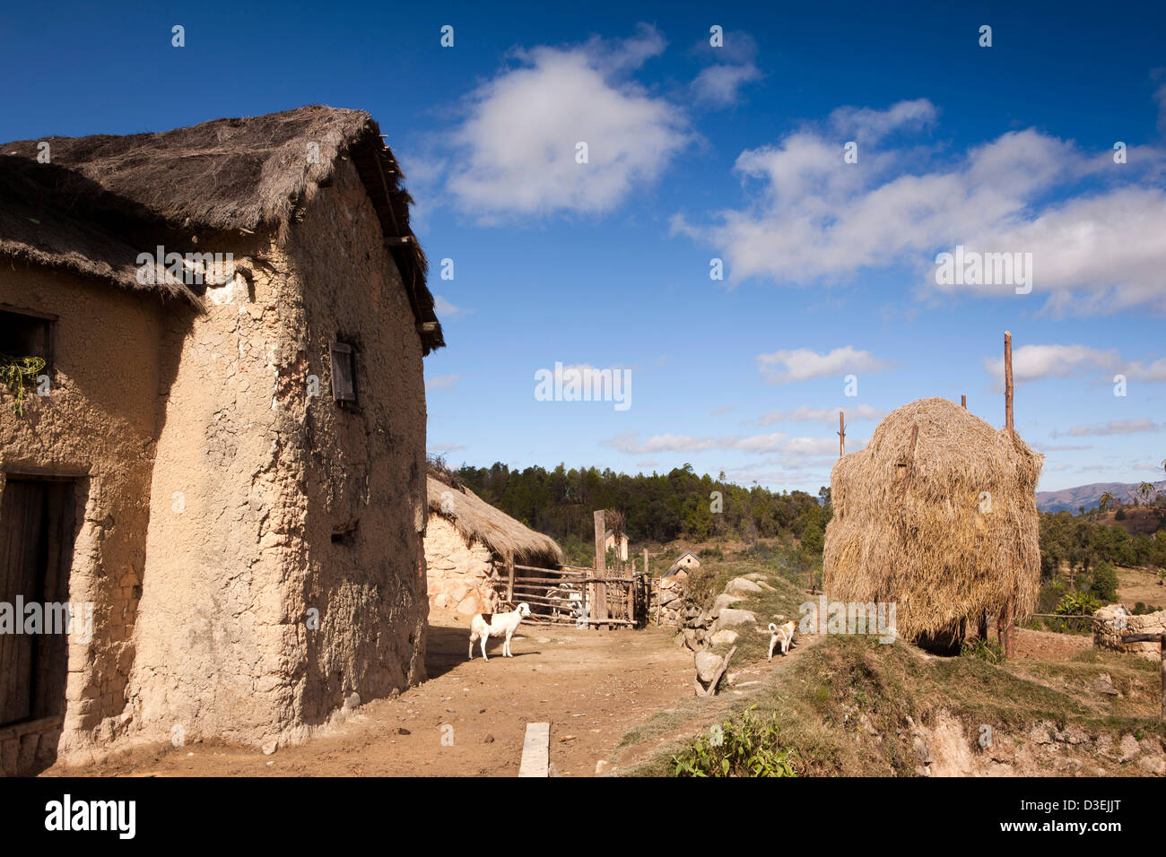 Madagascar, Ambositra Sandrandahy, piccolo agriturismo composto e casa Foto Stock