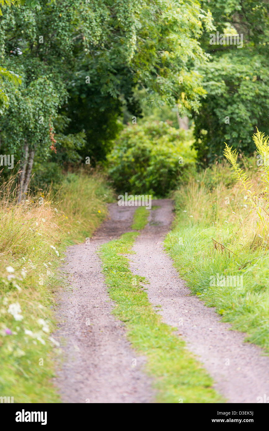 Svuotare strada di ghiaia persistente attraverso lussureggianti boschi ad estate in parte rurale della Svezia Foto Stock