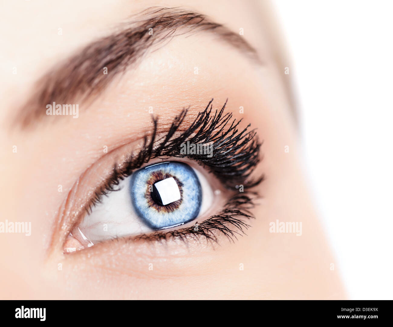 Immagine di una bellissima femmina blue eye, womens faccia parte isolati su sfondo bianco, Oftalmologia Clinica, la cura della salute Foto Stock