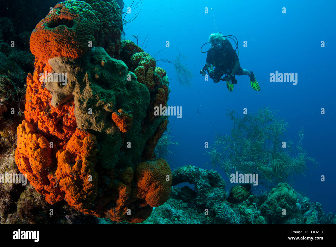 Sommozzatore nelle limpide acque dei Caraibi di Curacao Foto Stock