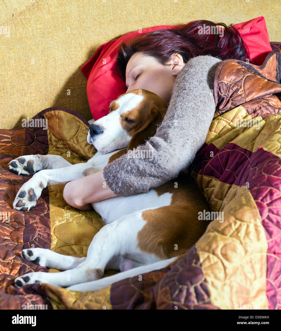 La donna addormentata e il suo cane Foto Stock