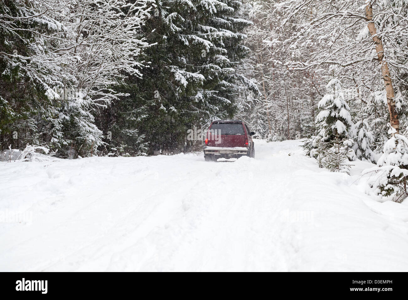 Off-road equitazione sulla foresta invernale strada innevata. Vista posteriore Foto Stock