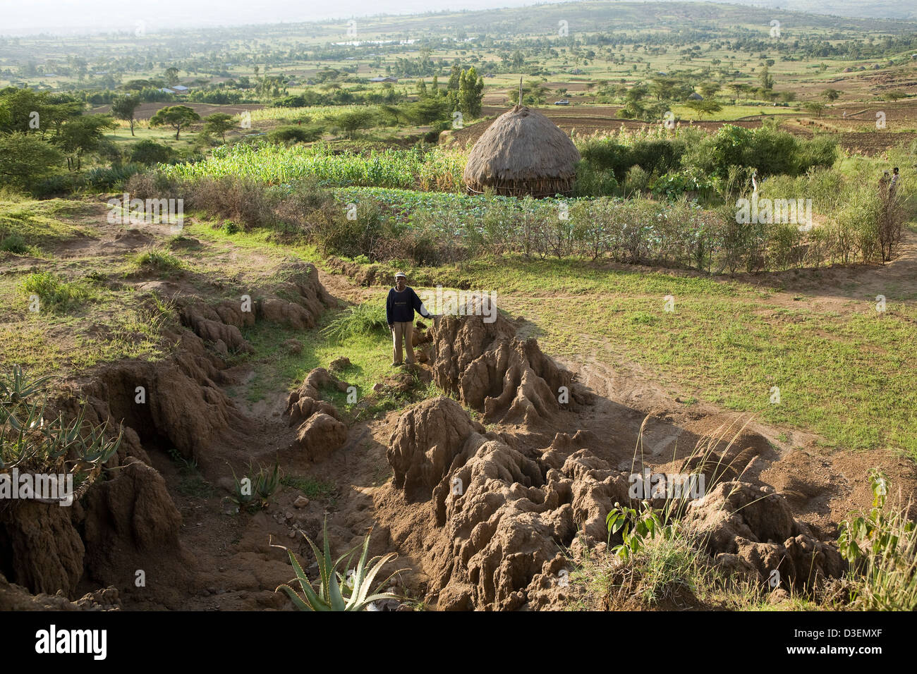 Zona WOLAYITA, sud Etiopia, 21AGOSTO 2008: Toma Belate sorge dall erosione dei terreni tagliati da un veloce-fluente fiume stagionale Foto Stock