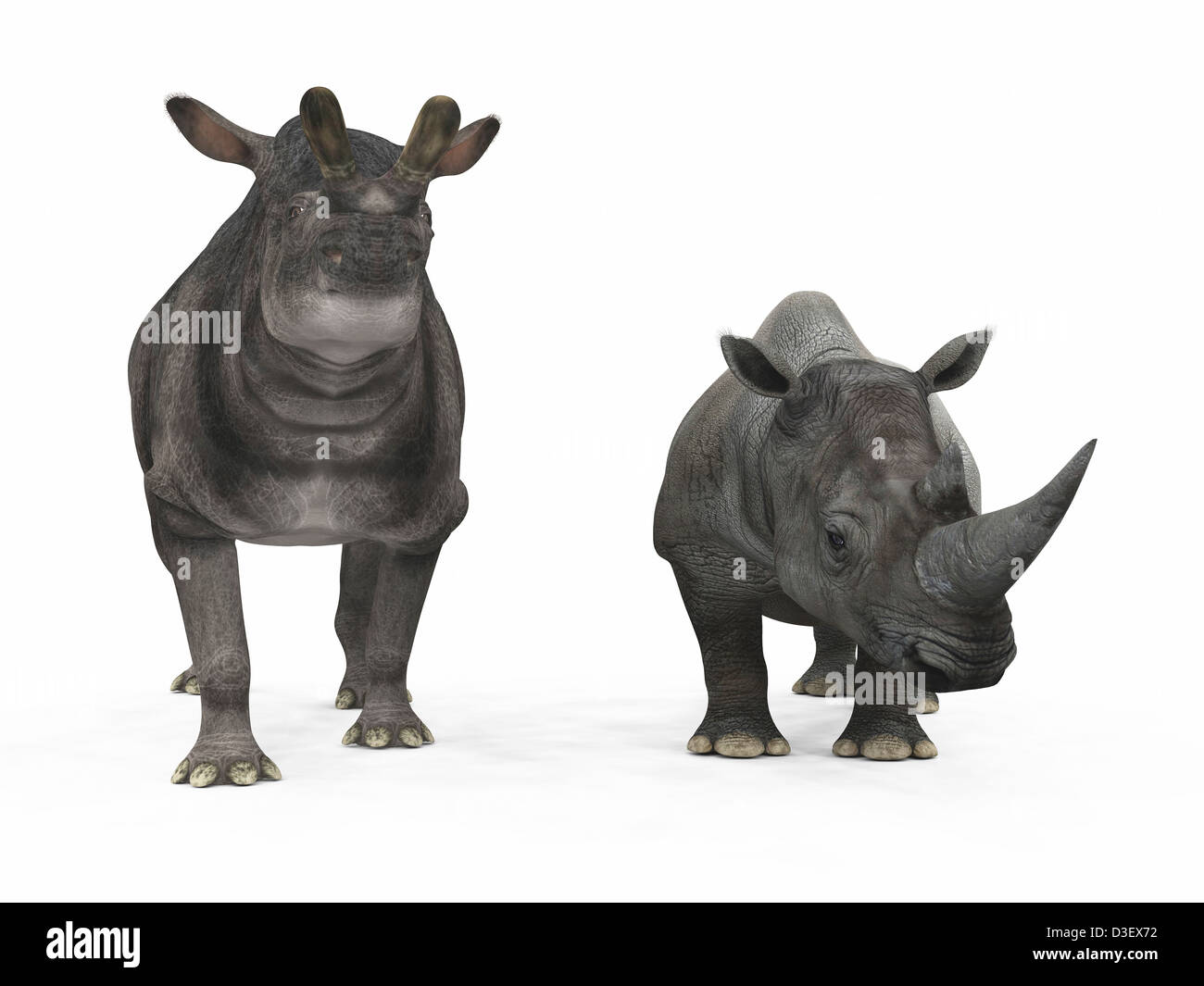 Un adulto Brontotherium rispetto a un moderno adulto rinoceronte bianco. Foto Stock