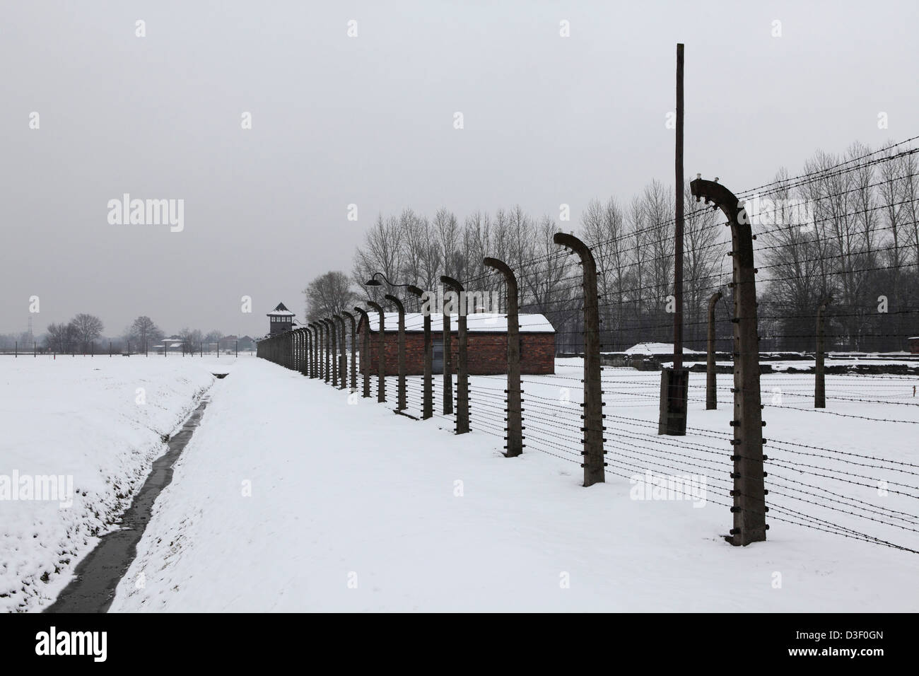 Recinzione Birkenau (Auschwitz II) Campo di concentramento, parte di Auschwitz-Birkenau Museo di Stato a Oswiecim, Polonia. Foto Stock