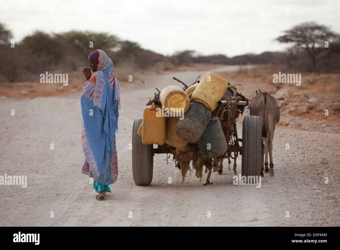 MAKUTANO, Kenya orientale, 2° settembre; le donne devono percorrere molti chilometri di raccogliere acqua dal più vicino punto di acqua. Foto Stock