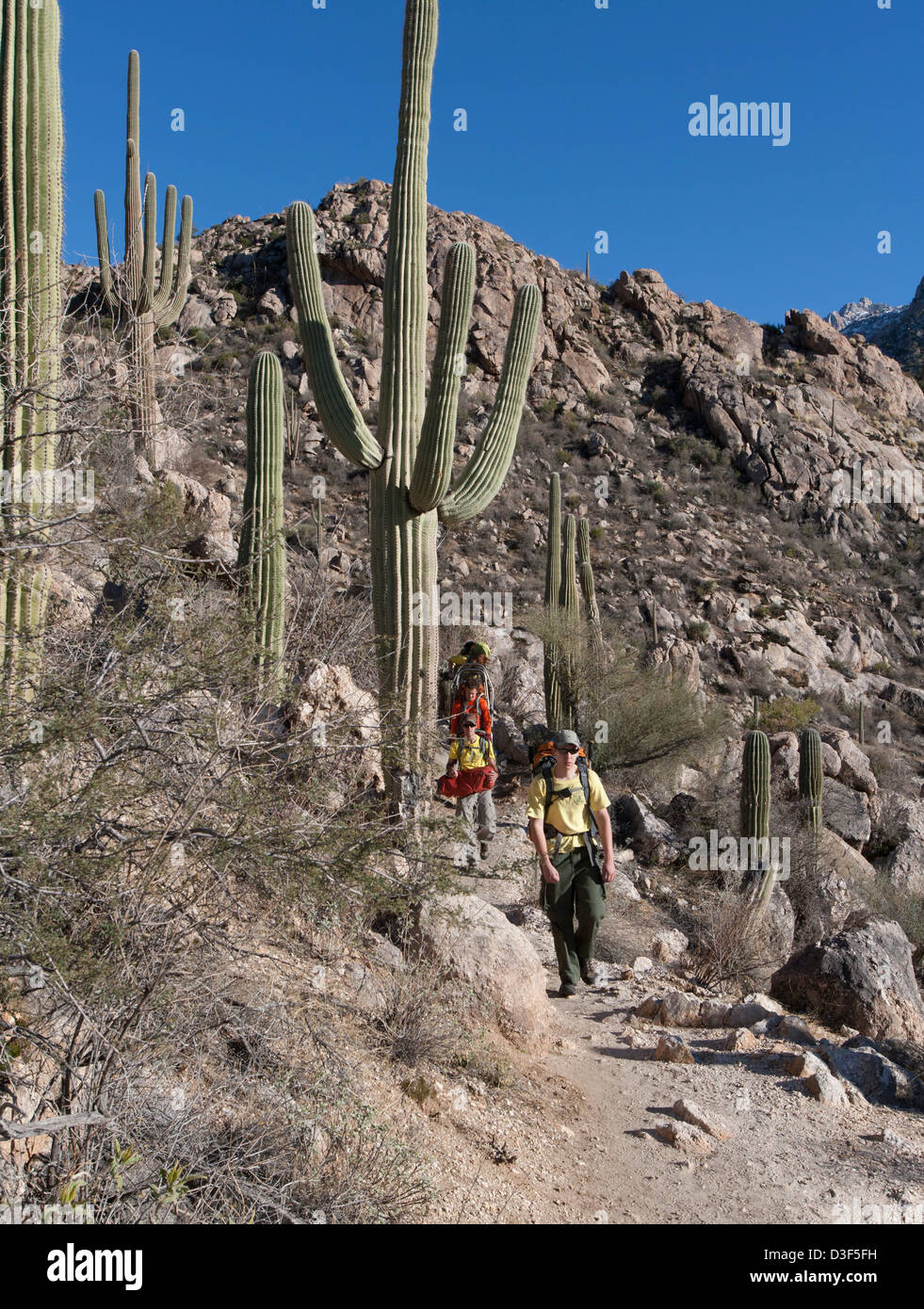 I membri l'Arizona meridionale Rescue Team Associazione scendendo al di fuori della montagne dopo andare fino ad aiutare una caduta vittima. Foto Stock