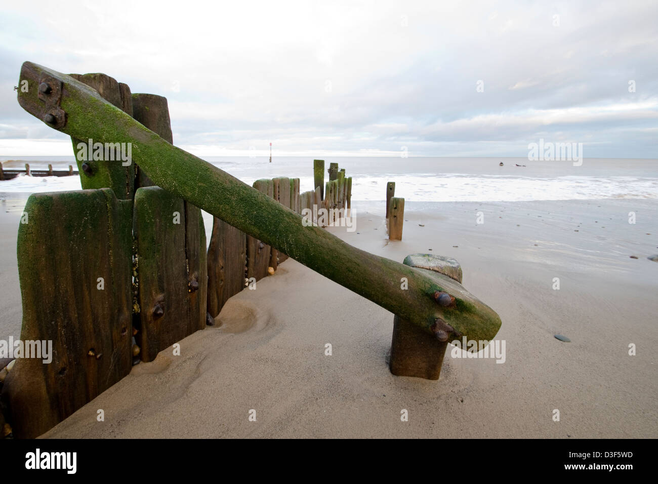 Indossati i frangiflutti in legno su una deserta spiaggia invernale Foto Stock